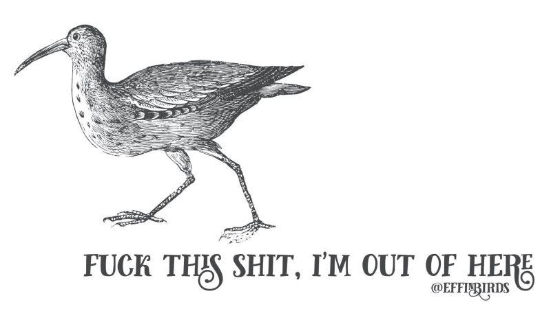 comic drawing by Effin Birds. there is a bird walking toward the left side of the image. the words 'FUCK THIS SHIT, I'M OUT OF HERE @effinbirds' are drawn on the bottom in a fancy font