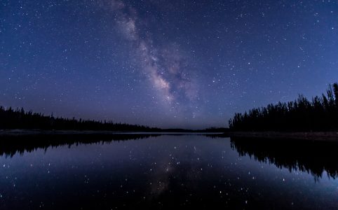 silhouette of trees along riverbank under a starry night sky