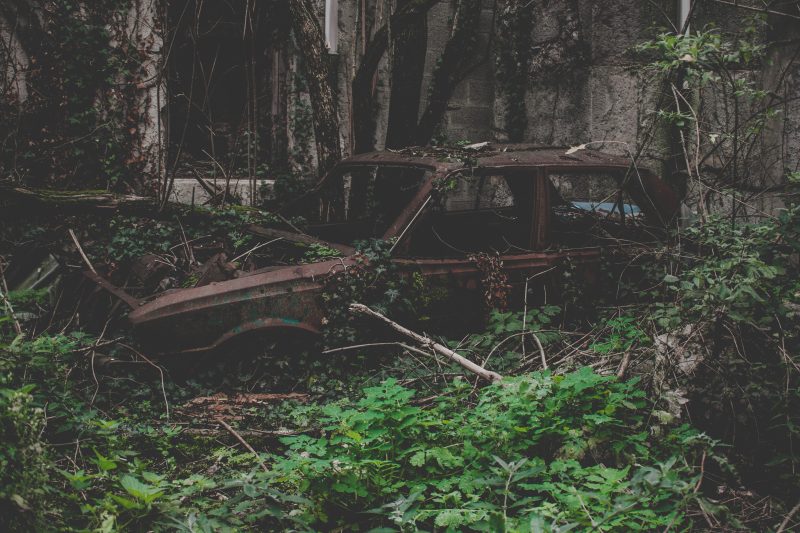 a rusted car in front of a concrete block structure, all covered in climbing vines and other flora