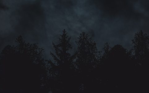 a nearly-full moon partially obscured by clouds above pine trees on a dark night