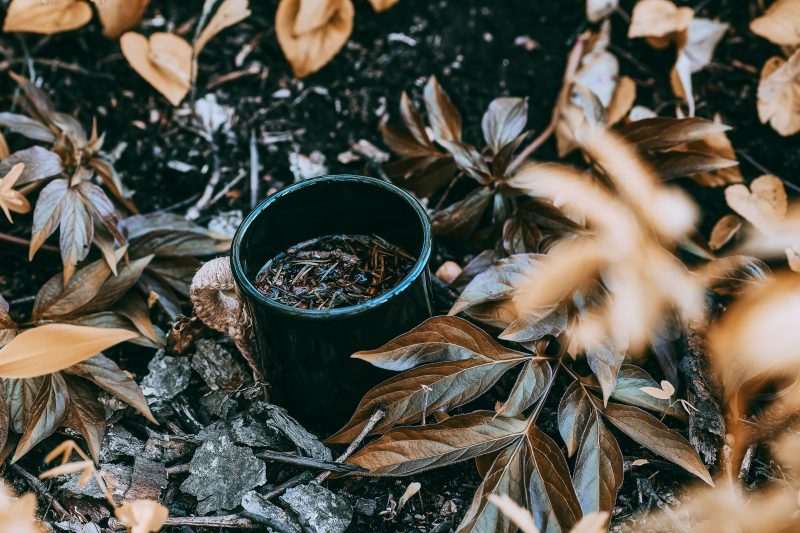 a small dark pot of tea on leaf-covered ground