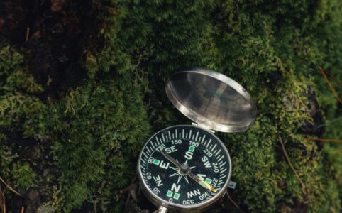 an open compass on a bed of dark green moss. the photo is dimly lit.