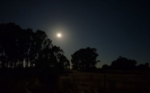 full moon in Leo over Victoria Australia