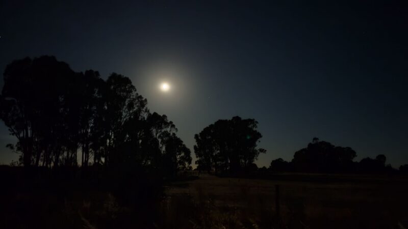 full moon in Leo over Victoria Australia