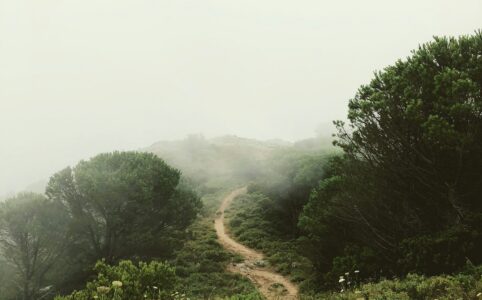 I think I died last week